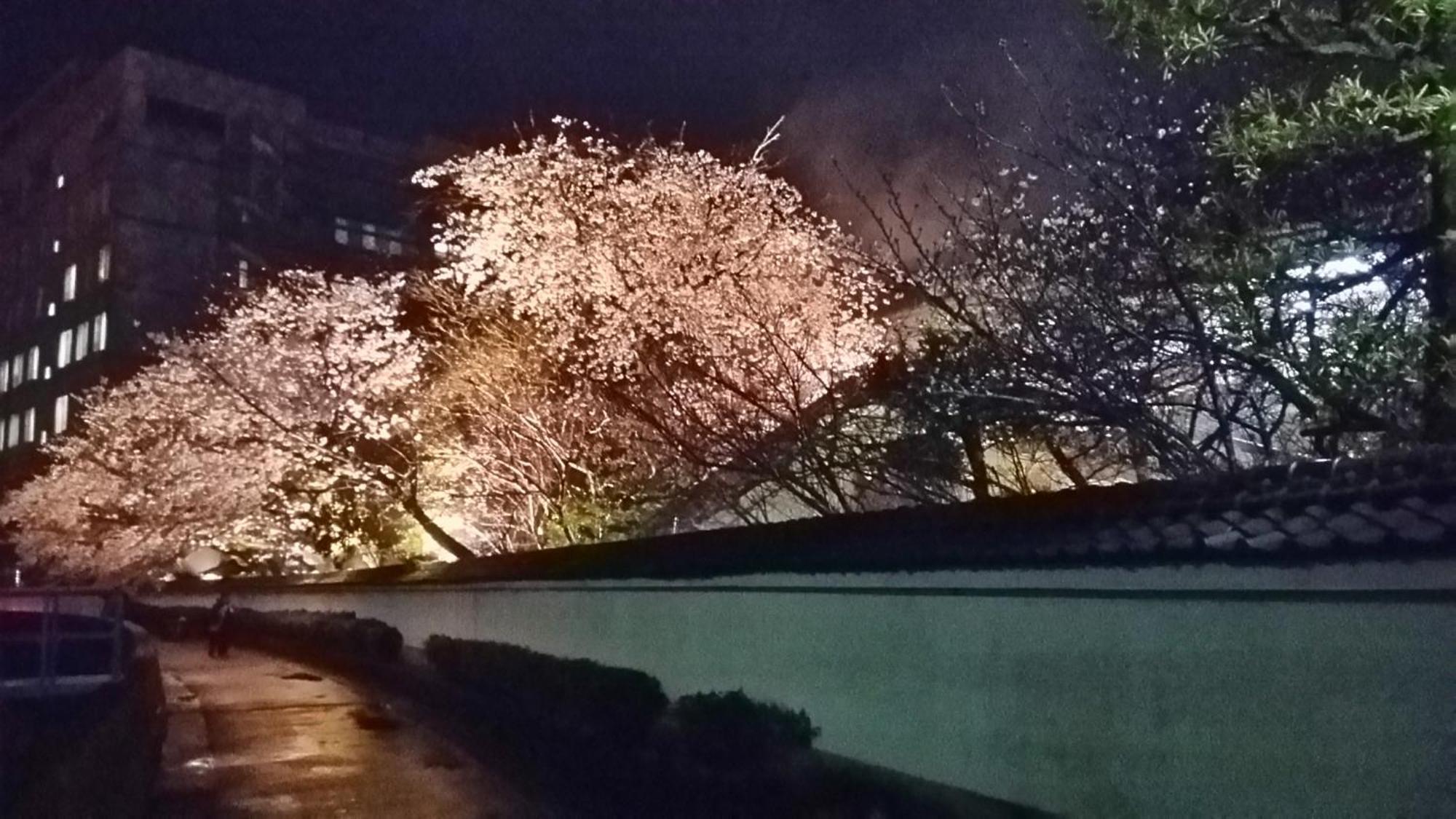 Ryokan Yoshino Hotel Hitoyoshi Exterior photo